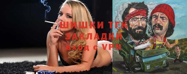 твердый Вяземский