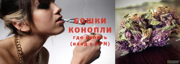 твердый Вяземский