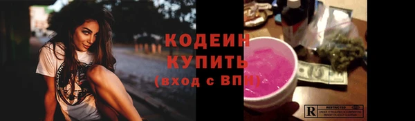 твердый Вяземский