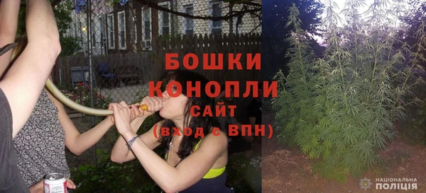 твердый Вяземский