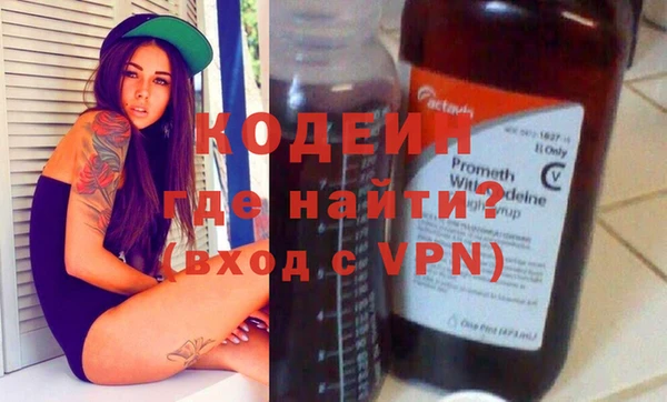 твердый Вяземский