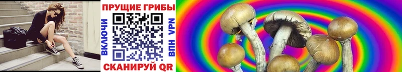 Псилоцибиновые грибы GOLDEN TEACHER  Купить где  Ревда 